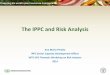 The IPPC and Risk Analysis - World Trade Organization · PDF fileispm no.1. phytosanitary principles for the protection of plants and the application of phytosanitary measures in international