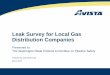 Leak Survey for Local Gas Distribution Companies Presentation - Leak...Leak Survey for Local Gas Distribution Companies Presented to: The Washington State Citizens Committee on Pipeline