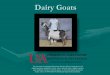 Dairy Goats - uaex.edu - University of Arkansas Division ... Goats General... · Dairy Goats The Arkansas ... milk of goats than any other single animal. ... Its color is solid varying
