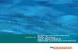 Environmental Factors Affecting Safe Access and … Dynamic Under Keel Clearance ... changes in tidal height ... Report on Environmental Factors Affecting Safe Access
