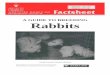 A Guide to Breeding Rabbits - Home | Food and … and nest box are also necessary for a sound breeding programme. Breed young does of the small and medium breeds at 6 months of age
