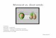 Monocot vs. dicot seeds - · PDF file · 2012-11-30Monocot vs. dicot seeds endosperm cotyledon Funcons: Seed coat – protecon Cotyledon – embryo that develops into plant Endosperm
