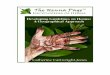 2 DEVELOPING GUIDELINES ON HENNA: A …hennapage.com/henna/encyclopedia/mastersessay/chapter1masters.pdf · Henna kits and henna tattoos were suddenly the hottest ... “beginners