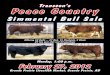 Simmental Bull Sale - Transcon · PDF fileHer last year’s bull sold to Phil Pybus. ... AEDJ MS COPPER 126U PG712652 AEDJ MS PEPPER 14N BW: 98. 205 ... BLACK POL 7/8 SIMMENTAL BPRS748438