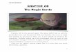 CHAPTER 28 The Magic Words · PDF fileTHE PIXAR DETECTIVE CHAPTER 28 The Magic Words Wallaby fell to the ground again. The grass didn’t feel as soft the hundredth time, and though
