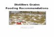 Summary of Distillers Grains Feeding … of Distillers Grains Feeding Recommendations for Poultry ... if proper formulation matrix values for all nutrients re used. ... be used in