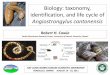Biology: taxonomy, identification, and life cycle of Cowie Angio Workshop.pdf · CLASSIFICATION AND DIVERSITY . PHYLUM: Nematoda ... females lay eggs eggs travel through ... LIFE-CYCLE