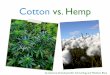 Cotton vs. Hemp - Just another weblog · PDF fileCotton: The Bad Cotton is one of the most water- and pesticide-intensive crops in the world Cotton crops in the USA occupy 1% of the