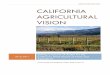 California Agricultural Vision Agricultural Vision CALIFORNIA AGRICULTURAL VISION ... what we grow and how we ... statement rich with meaning