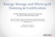 Energy Storage and Micro-grid Training & Certification Storage and Micro-grid Training & Certification A New Business Sector Proposal to ELECTRI International Bernie Kotlier, Executive