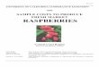 SAMPLE COSTS TO PRODUCE FRESH MARKET RASPBERRIES · PDF fileSAMPLE COSTS TO PRODUCE FRESH MARKET RASPBERRIES ... every year starting from the fall of the first growing year. ... Leaf