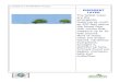 LAYERS OF A RAINFOREST Overhead - Arizona · PDF file · 2017-07-12LAYERS OF A RAINFOREST Overhead EMERGENT LAYER The tallest trees are the ... known as deforestation, involves the