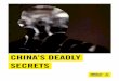 CHINA’S DEADLY SECRETS - Amnesty International … 11...8 China’s Deadly Secrets Amnesty International For this report, Amnesty International analysed documents involving death