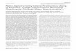 Author’s Choice © 2011 by The American Society for ... · PDF fileof tryptic digests of mammalian cell lysate— a significant ... sor masses in rapid succession, ... In the latter
