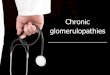 Chronic glomerulopathies - FNOLpublic.fnol.cz/.../data/soubory_en/krejci_chronic_glomerulopathies.pdf · in chronic glomerulonefritis. ... Treatment of chronic glomerulopathies steroids