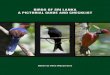 BIRDS OF SRI LANKA A PICTORIAL GUIDE AND … Introduction 4 Birdwatching in Sri Lanka 6 Plates and Checklist 