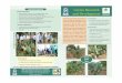 Institutional Networking Cactus Research and · PDF fileNimbkar Agricultural Research Institute (NARI), Phaltan, ... Cactus Research and Development Program Key Research Highlights