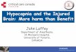 Hypocapnia and the Injured Brain: More harm than …criticalcarecanada.com/presentations/2012/hypocapnia_and_the...Hypocapnia and the Injured Brain: More harm than Benefit ... What