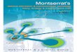 MONTSERRAT ICT Plan Final (Exec Summ) · PDF fileMontserrat ICT Plan - Final ... disaster management plan systems and documents 2012 2013 DMCA , Red Cross, all emergency services,