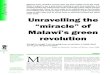 Unravelling the “miracle” of Malawi’s green revolution · PDF fileUnravelling the “miracle” of Malawi’s green ... Bingu wa Mutharika, ... IRIN quotes a Malawi officialin