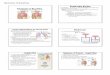 Mechanics of Breathing - Oak Park Independent of Breathing Mechanics of Breathing Pulmonary Ventilation •respiration - process of gas exchange between the ... Inspiration •normal