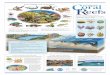 Coral Reefs Are Important - Loxahatchee River District poster final to go.pdf · Coral Reefs Are Important ... Brain coral Star coral The Florida Reef Tract runs parallel to the 