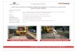 TechPave Case Study Marine Drive - · PDF fileDRIVE (MUMBAI)DRIVE (MUMBAI) ... Use of paving fabric fProject or the Strengthening and Improvement of Marine Drive from NCPA to Tambe