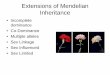 Extensions of Mendelian Inheritance - WOU Homepageguralnl/441ExtMenInh.pdf · Extensions of Mendelian Inheritance • Incomplete dominance • Co-Dominance • Multiple alleles •