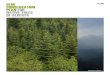 Gene Conservation Plan for Native Trees of Albertadepartment/deptdocs.nsf/all/formain15907/... · CONSERVATION PLAN FOR NATIVE TREES ... Indian Reserves and deeded lands). ii ISBN