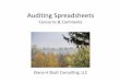 Auditing Spreadsheets - Information Technology ... · PDF fileAuditing Spreadsheets Concerns & Comments Diana H Shutt Consulting, LLC . Agenda ... •Business Users ran SAS programs