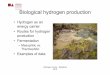 Biological hydrogen production - University of Iceland · PDF fileHydrogen course - Reykjavík 2010 Biological hydrogen production • Hydrogen as an energy carrier • Routes for
