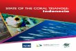 State of the Coral Triangle: Indonesia · PDF fileState of the Coral Triangle: Indonesia ... his State of the Coral Triangle report was prepared by Dirhamsyah, J. Subijanto, H.A.Susanto,