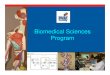 Biomedical SciencesBiomedical Sciences · PDF fileBiomedical CareersBiomedical Careers--- some examples ---Physician RhSitit Nurse Research Scientist Health Information Manager Dentist
