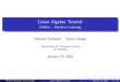 Linear Algebra Tutorial - NPTELnptel.ac.in/courses/106106139/LinAlTutorial.pdfWhat is Linear Algebra Linear Algebra Linear algebra is the branch of mathematics concerning vector spaces