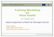 Training Workshop on Plant Healtheeas.europa.eu/archives/delegations/thailand/documents/trade_and... · Training Workshop on Plant Health ... Commission Decision 2008/840/EC. 2. Identity