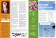 CREATING BIRD HABITAT ON SCHOOL GROUNDS … BIRD HABITAT ON SCHOOL GROUNDS By Donna Schmitz ... • A Basic Bird kit, with lessons and ... into the world of local birds and their adaptations