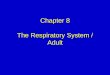 Chapter 8 The Respiratory System / Adults/Egan... · Chapter 8 The Respiratory System / Adult. ... gastrointestinal, and endocrine dysfunction ... an affiliate of Elsevier Inc. 21