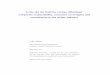 Dissertation Study on the Airline · PDF file · 2012-02-01Is the sky the limit for carbon offsetting? Corporate responsibility, consumer sovereignty and commitment in the airline