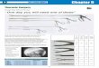 Foreign Body Retrieval Forceps One day you will need one ... · PDF fileForeign Body Retrieval Forceps Our family of foreign body retrieval forceps has grown! ... 347665 Rat Tooth