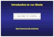 Introduction to run Siesta - unican.espersonales.unican.es/.../Metodos/Theory/How-to-run-siesta.pdf · To run Siesta you need 1. Access to the executable file 2. An input file Written