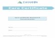 Care Certificatecareskillsacademy.co.uk/sites/default/files/... · Understand the importance of effective communication at ... Use appropriate verbal and non-verbal communication