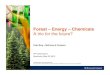 Forest – Energy – · PDF fileCONFIDENTIAL AND PROPRIETARY Any use of this material without specific permission of McKinsey & Company is strictly prohibited. ... SOURCE: McKinsey