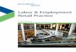 CH-10-0135 Labor & Employment Retail Practice Brochure …seyfarth.com/...CH100135LaborEmploymentRetailPracticeBrochure… · individual claims under the Fair Labor Standards 