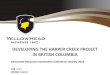 DEVELOPING THE HARPER CREEK PROJECT IN … THE HARPER CREEK PROJECT ... P.Geo., GeoSim Services Inc.; Kenneth Brouwer, P.Eng., Knight Piesold Ltd.; ... banker with Barclays Bank