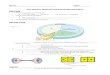 Web view · 2013-10-27Cell Cycle. Why can’t we all ... You will use the word . centromere. twice. (also. note the sister . ... Mitosis: