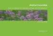 AmmoniaAmmonia - Elucidare as H2 carrier.pdf · AmmoniaAmmonia New possibilities ... accordance with evolving market demands and economics. Existing ammonia ... In essence, atmospheric