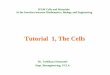 Tutorial 1, The Cells - helper.ipam.ucla.eduhelper.ipam.ucla.edu/publications/cmtut/cmtut_6294.pdf · missing organelles (such as red blood cells) Plasma Membrane separates the cell