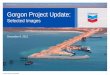 Gorgon Project Update - Chevron Corporation gas pipeline. Construction also has begun on the domestic gas metering station, located near the tie-in to the Dampier-to-Bunbury natural