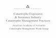 American Academy of Actuaries Catastrophe … Catastrophe...American Academy of Actuaries Catastrophe Management Work Group. Overview • Introduction ... American Academy of Actuaries