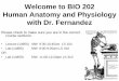 Welcome to BIO 202 Human Anatomy and Physiology with …web.gccaz.edu/~phipd16661/chapt17_endo_lec.pdf · Welcome to BIO 202 Human Anatomy and Physiology with Dr. Fernandez ... Robert